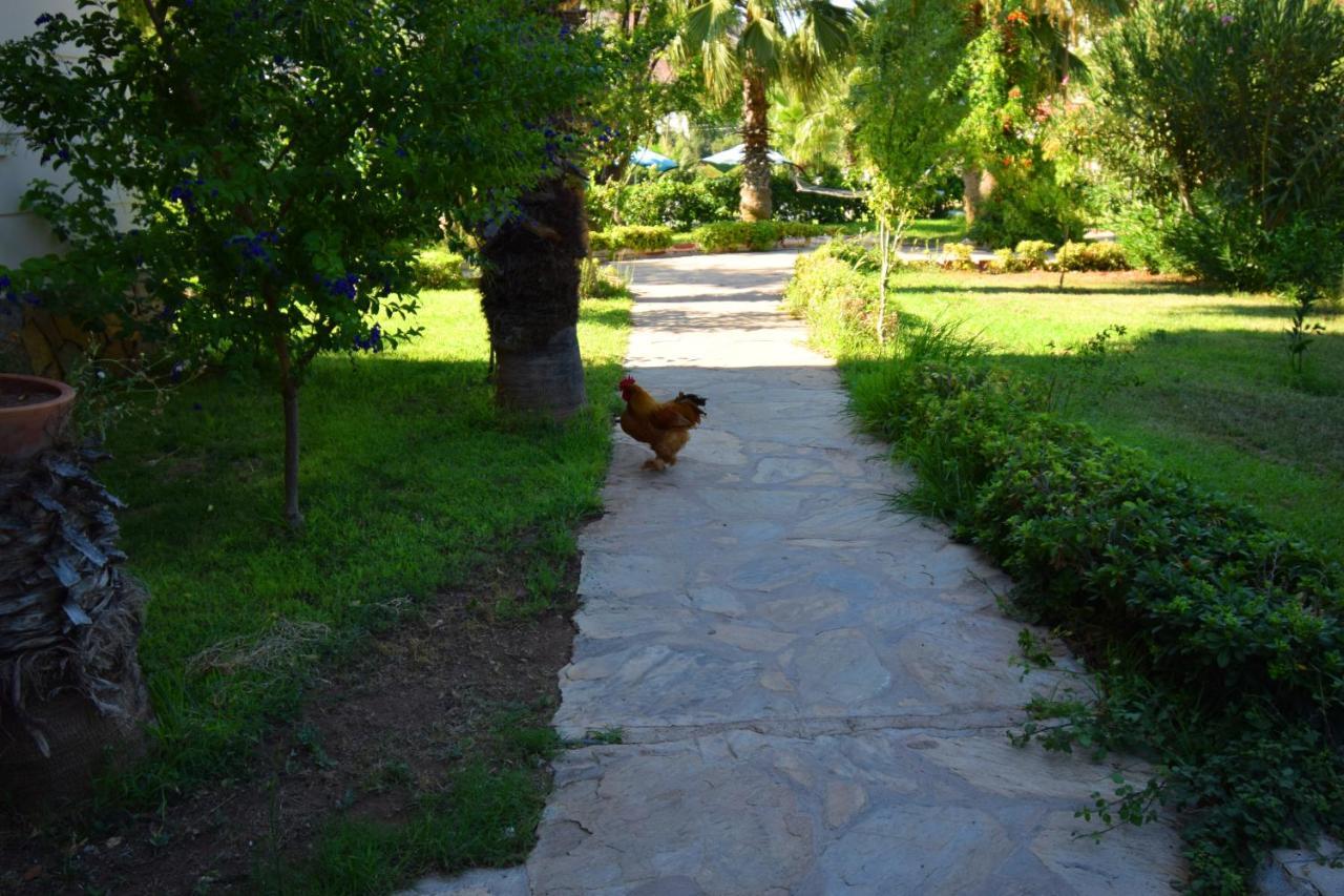 Hotel Adrasan Beach Club Antalia Esterno foto